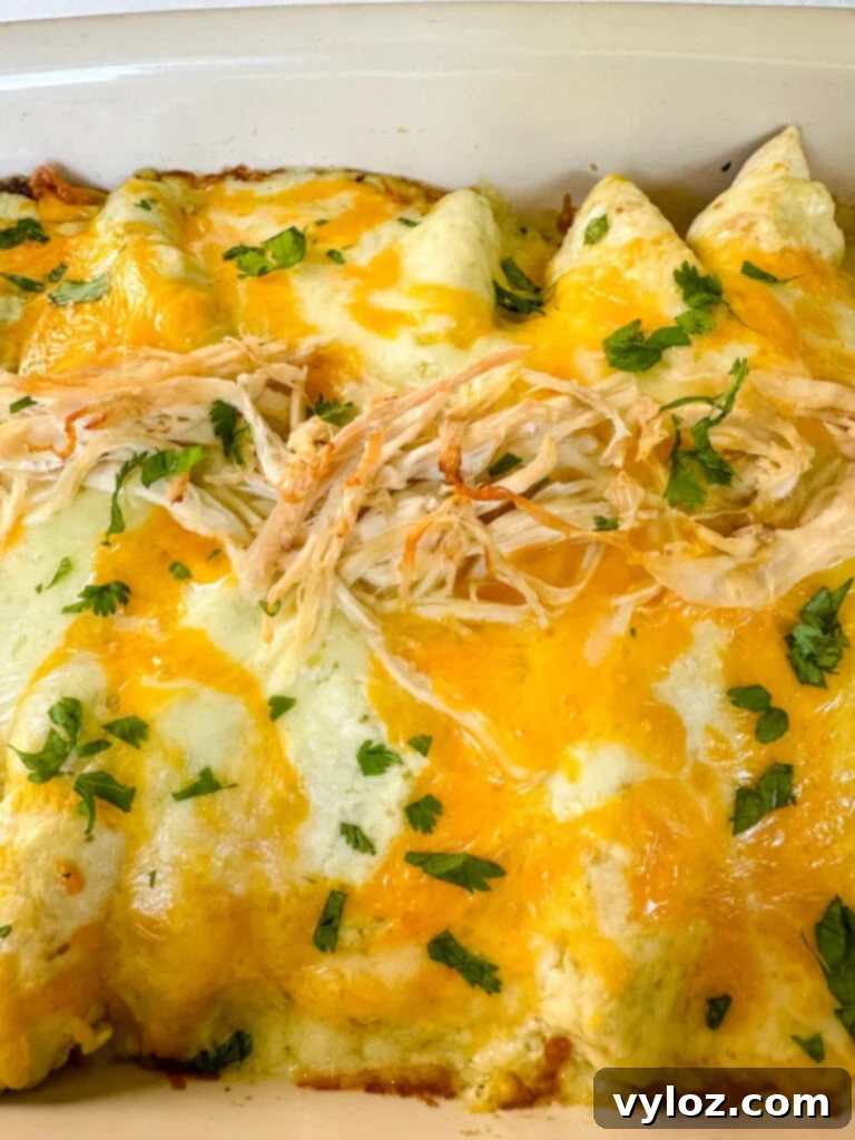 rotisserie chicken enchiladas in a red baking dish