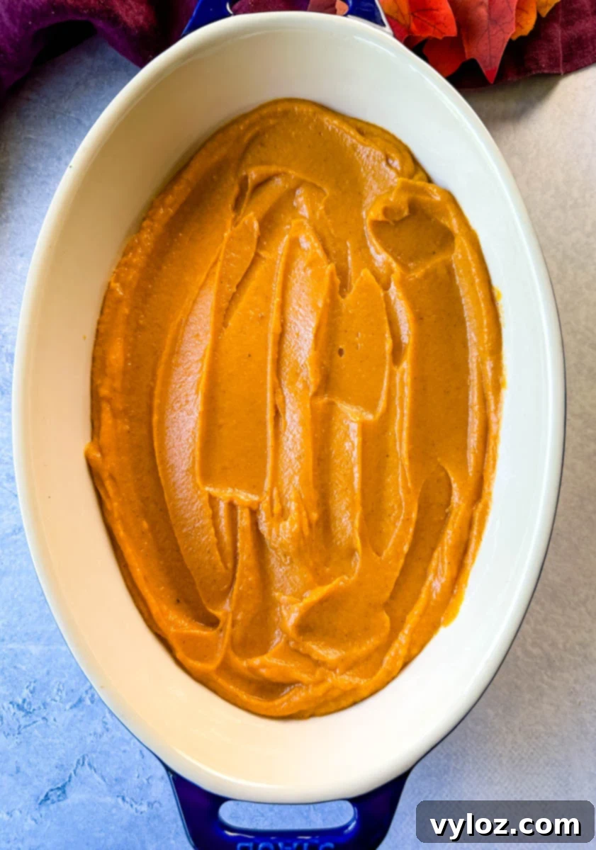 Golden Sweet Potato Pecan Delight 7 Mashed sweet potatoes seasoned with cinnamon and sugar, forming the base of a casserole in a baking dish.