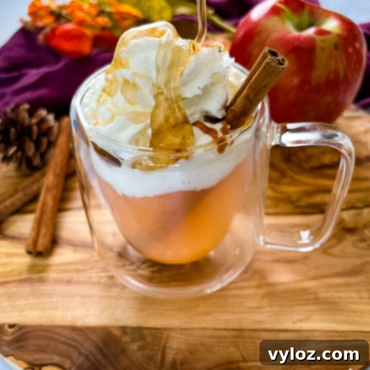 16 Essential Slow Cooker Thanksgiving Recipes 17 Caramel Apple Spice Cider Slow Cooker