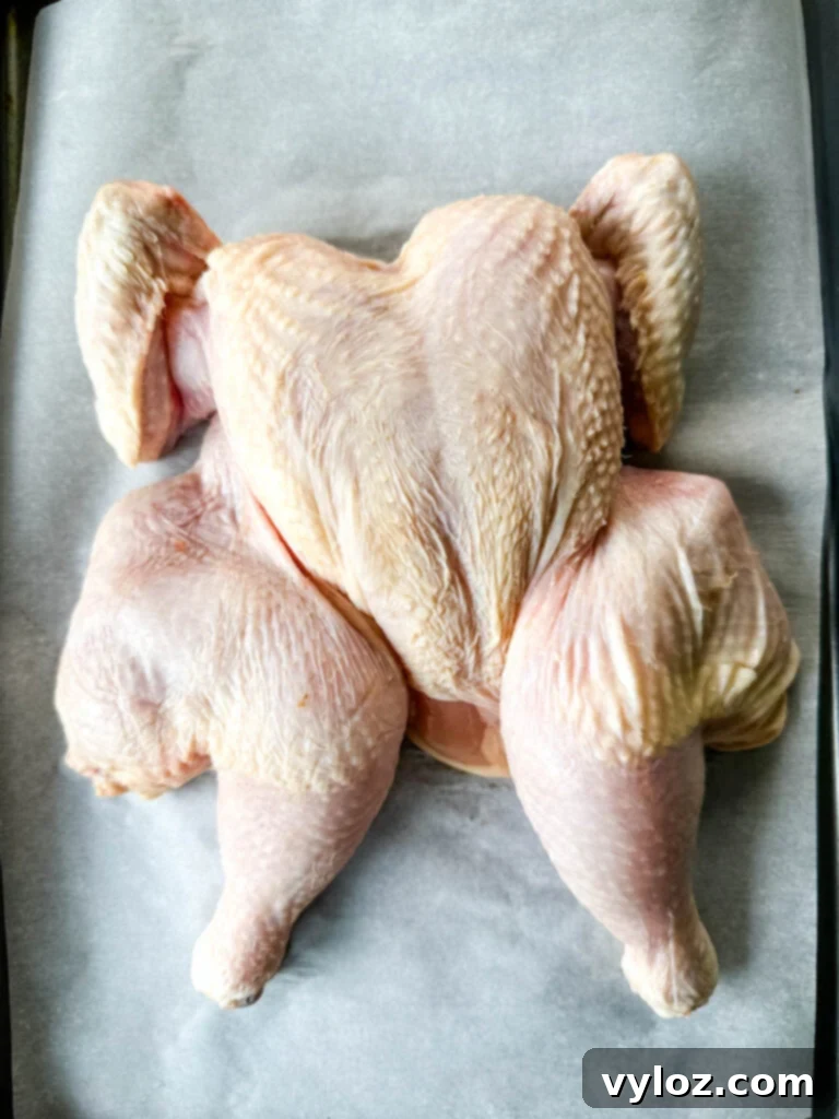 raw whole chicken on parchment paper