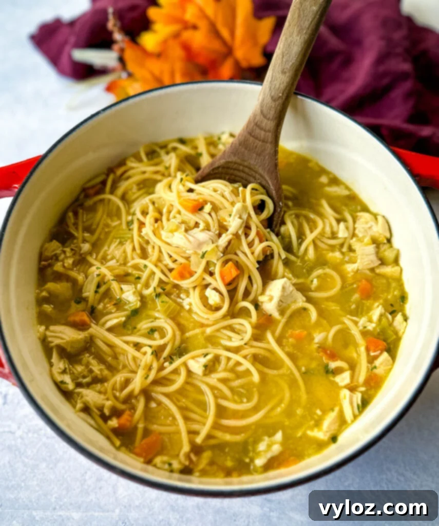 rotisserie chicken noodle soup with carrots and celery in a Dutch oven with a wooden spoon