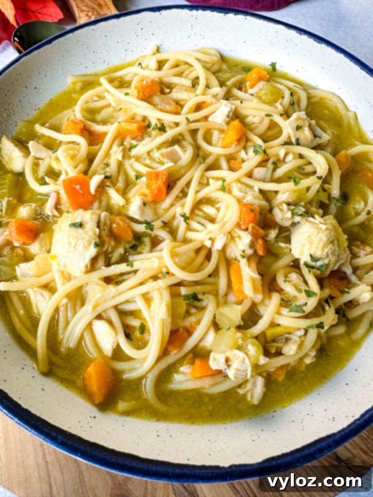 rotisserie chicken noodle soup with carrots and celery in a white bowl