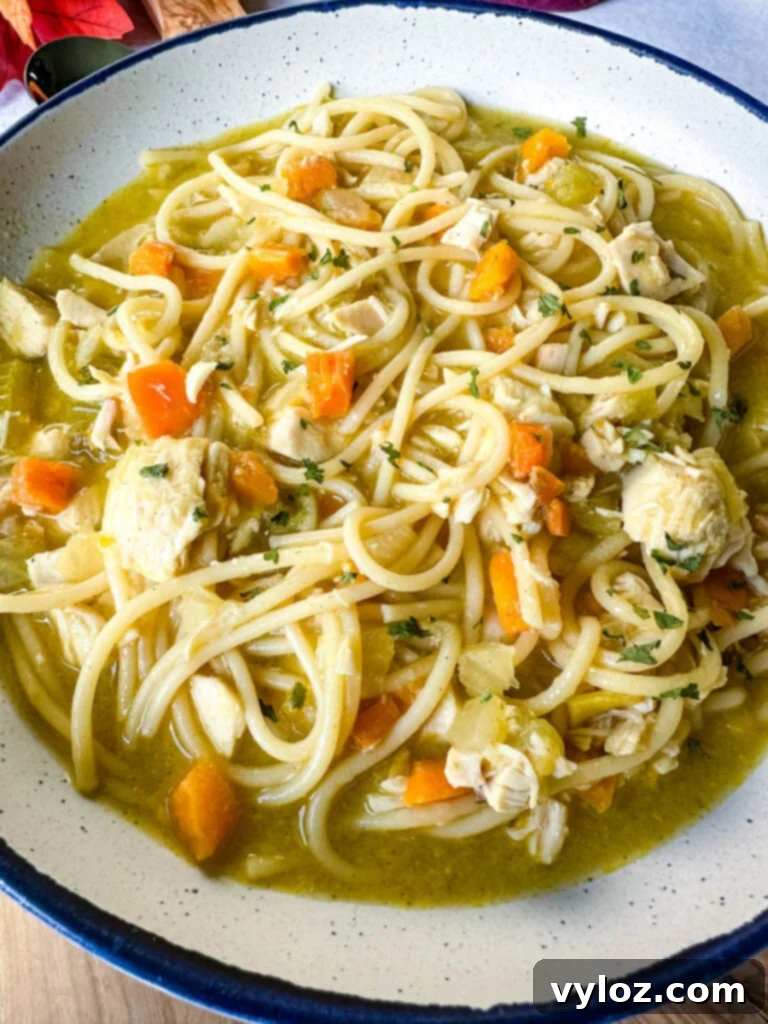 rotisserie chicken noodle soup with carrots and celery in a white bowl