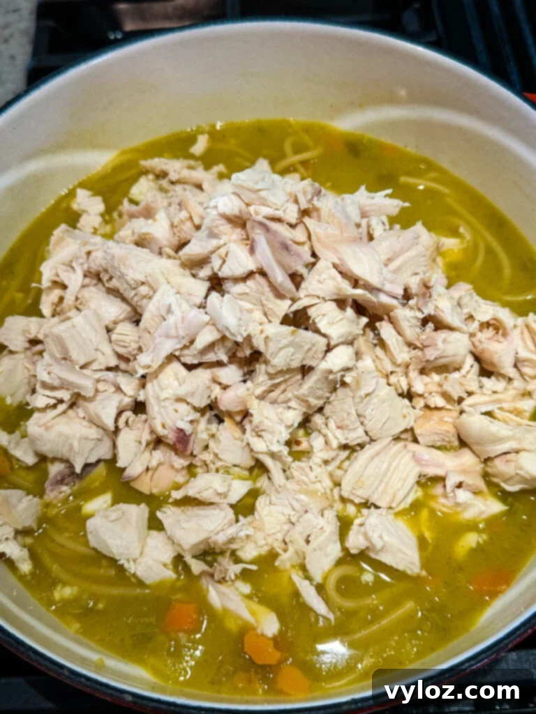 rotisserie chicken noodle soup with carrots and celery in a Dutch oven