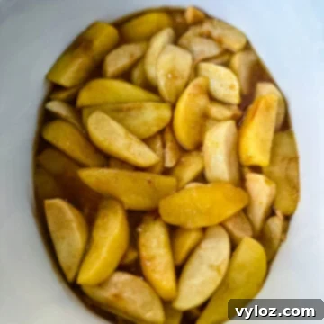 baked apples with cinnamon in a Crockpot slow cooker