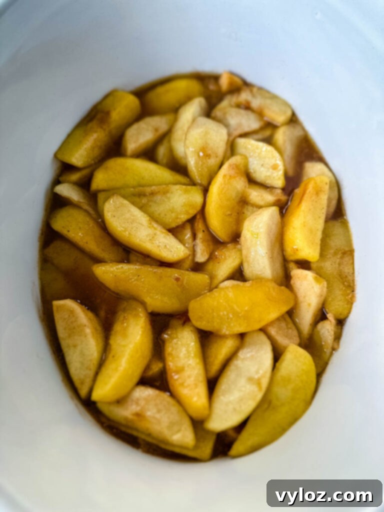 baked apples with cinnamon in a Crockpot slow cooker