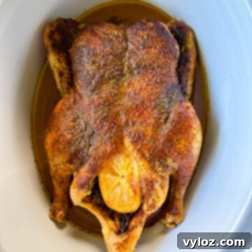 Tender Slow Cooker Duck 12 cooked whole duck in a Crockpot slow cooker
