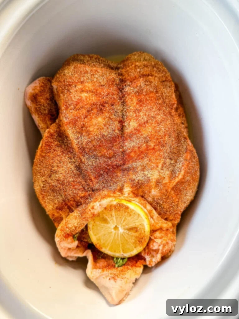 Tender Slow Cooker Duck 7 raw seasoned whole duck in a white Crockpot slow cooker