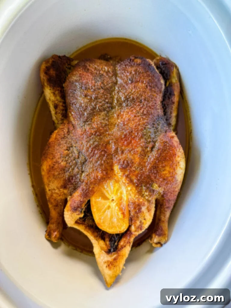 Tender Slow Cooker Duck 8 cooked whole duck in a Crockpot slow cooker