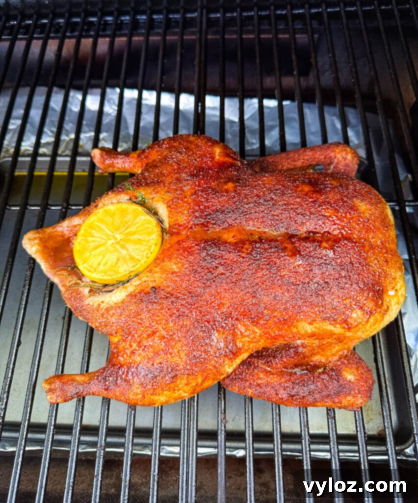 Mastering Smoked Duck 2 whole duck on a Traeger smoker pellet grill stuffed with lemon and herbs