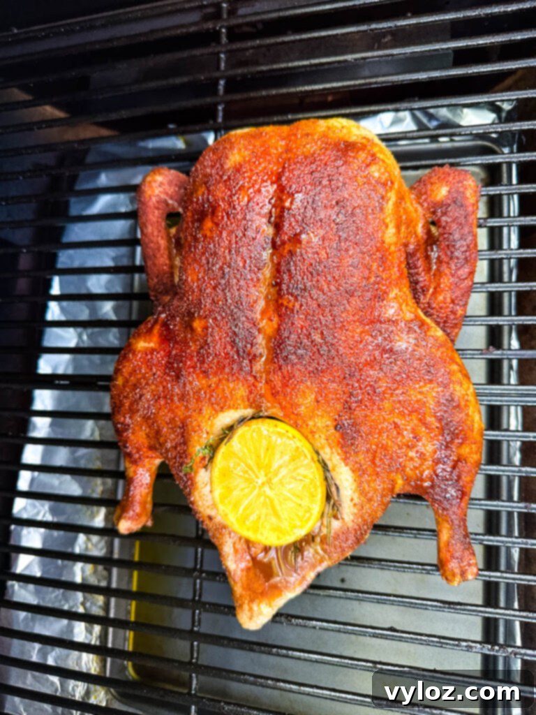 Mastering Smoked Duck 12 whole duck on a Traeger smoker pellet grill stuffed with lemon and herbs