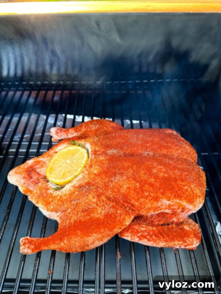 Mastering Smoked Duck 6 raw seasoned whole duck on a Traeger smoker pellet grill stuffed with lemon and herbs