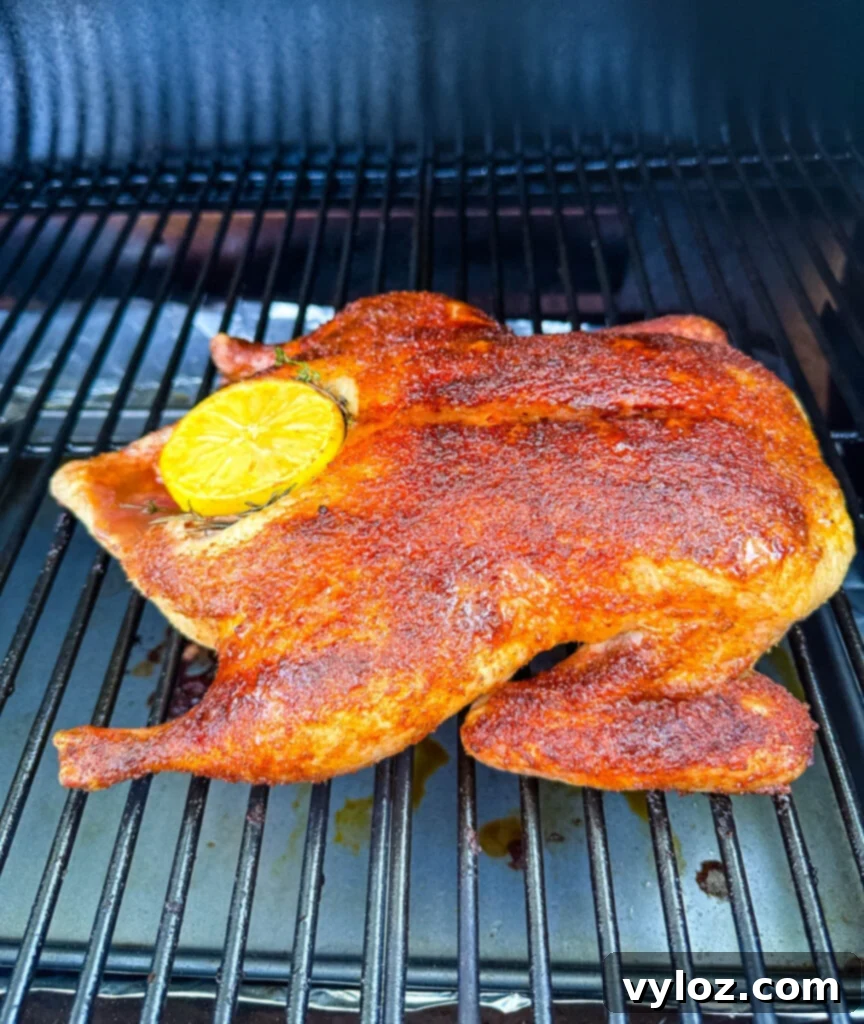 Mastering Smoked Duck 7 whole duck on a Traeger smoker pellet grill stuffed with lemon and herbs