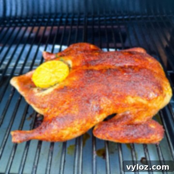 Mastering Smoked Duck 10 whole duck on a Traeger smoker pellet grill stuffed with lemon and herbs