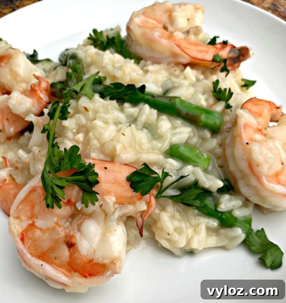 No-Stir Creamy Instant Pot Shrimp Risotto 13 A final close-up of the Instant Pot risotto on a white plate, highlighting its richness.