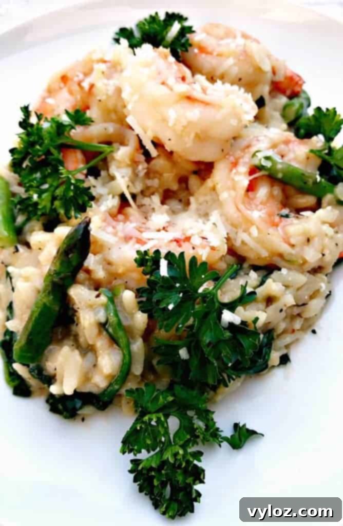 No-Stir Creamy Instant Pot Shrimp Risotto 8 A close-up of Instant Pot Lemon Shrimp Risotto with Vegetables and Parmesan, highlighting the creamy texture.