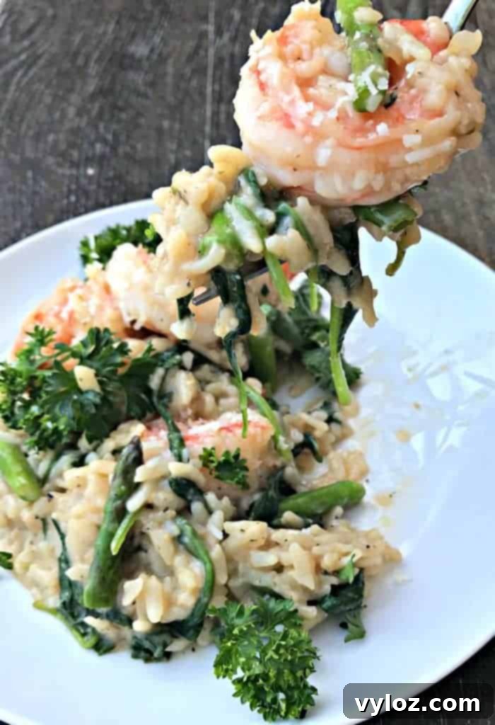 No-Stir Creamy Instant Pot Shrimp Risotto 9 A vibrant bowl of Instant Pot Lemon Shrimp Risotto with a medley of vegetables and Parmesan.