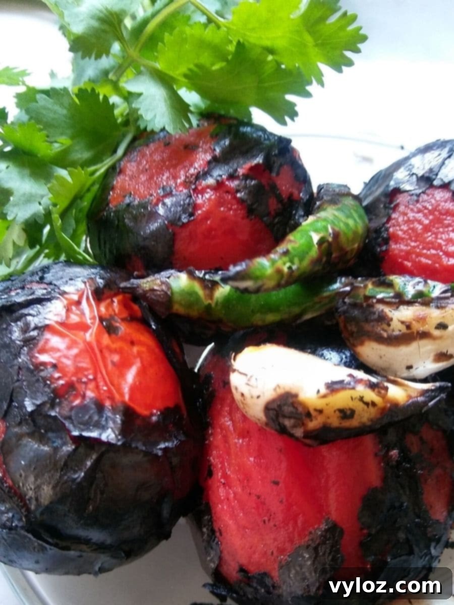 Fire  roasted tomato, green chili, and garlic for chutney