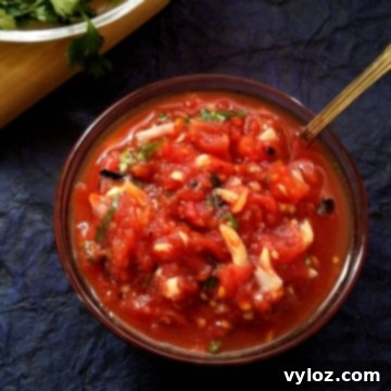 Tomato Garlic Chutney Recipe