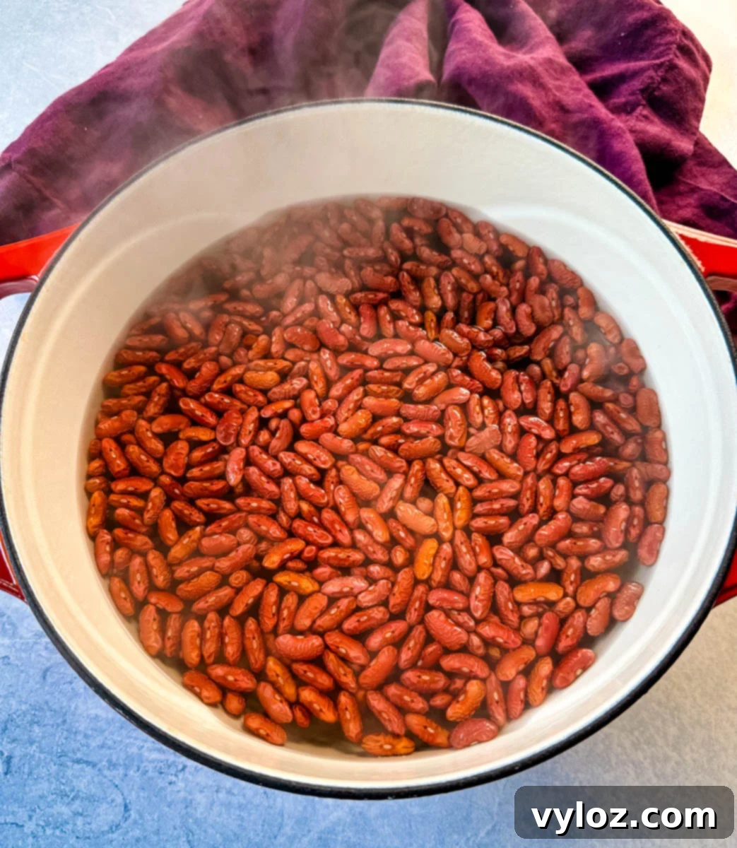 Dry red kidney beans beginning to plump in a pot of water using the quick soak method, indicating the start of their preparation.