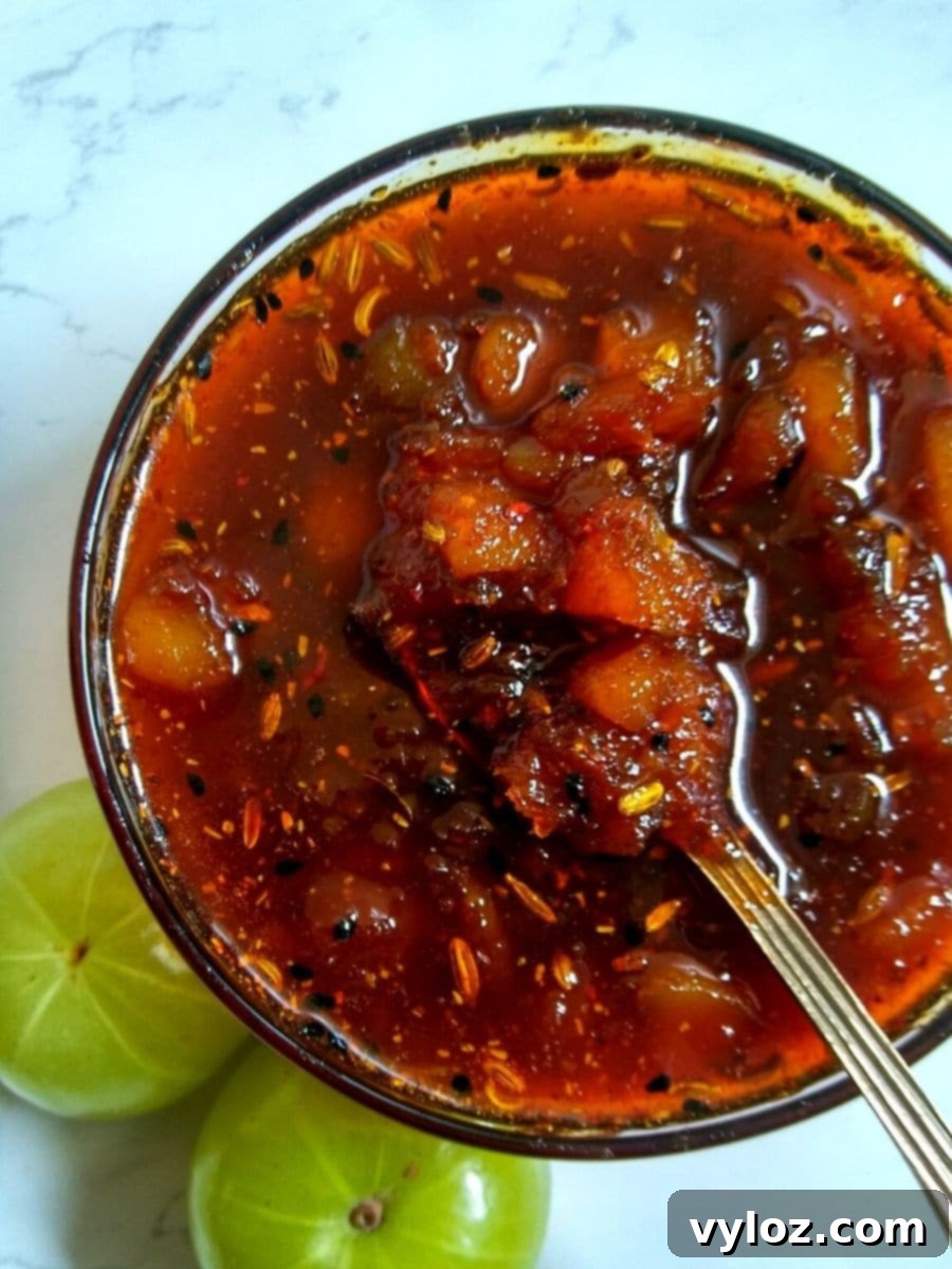 Sweet Indian Gooseberry Relish 2 Gooseberry chutney in a bowl