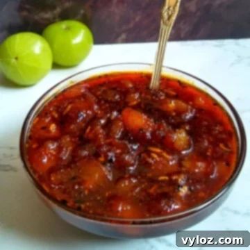 Sweet Indian Gooseberry Relish 3 Sweet Amla Chutney Recipe