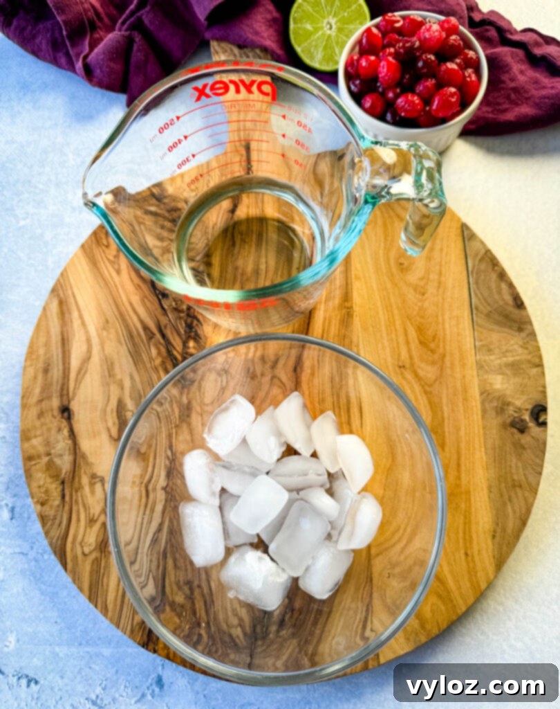 ice and tequila in separate glass bowls
