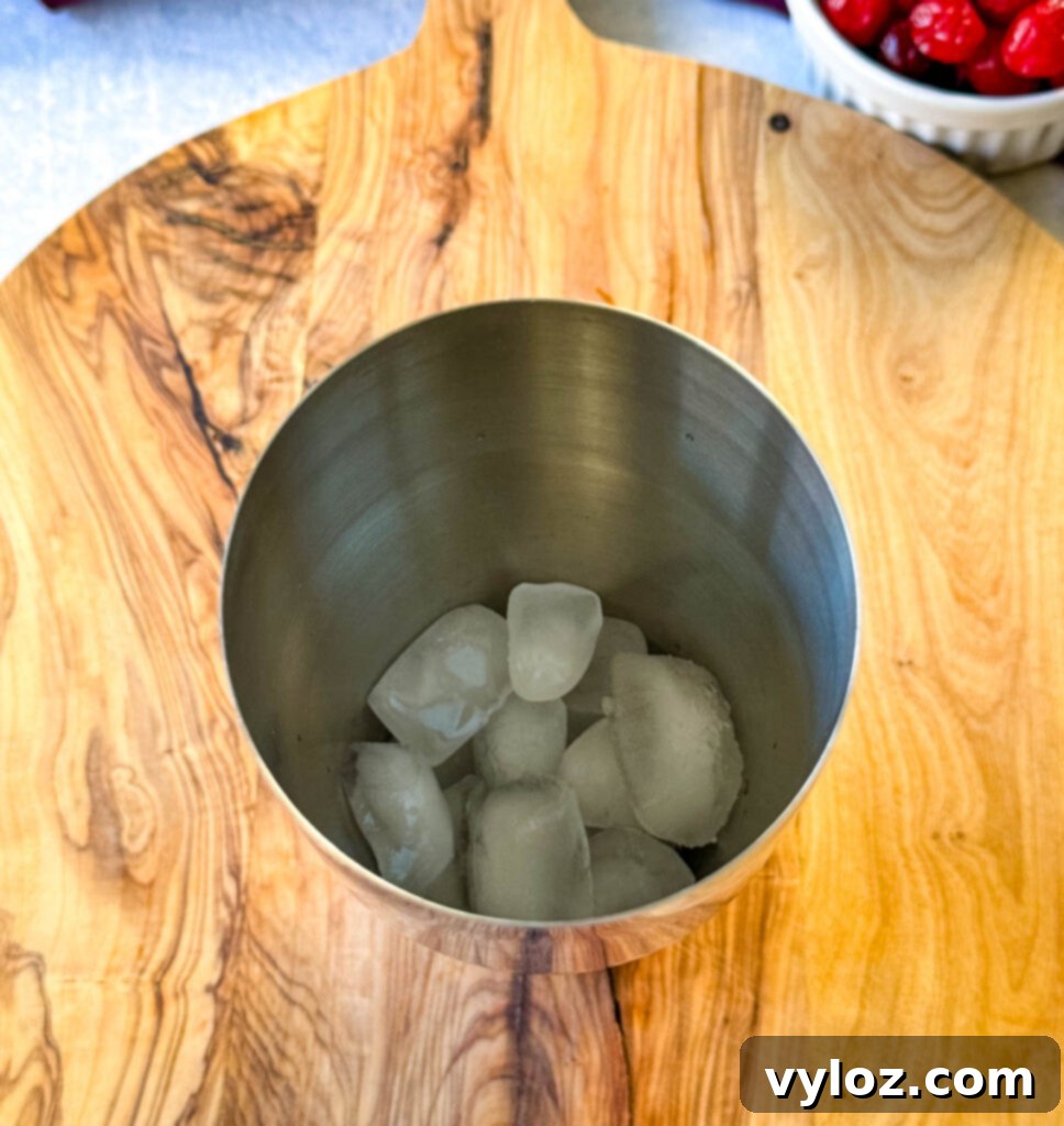 ice in a cocktail shaker