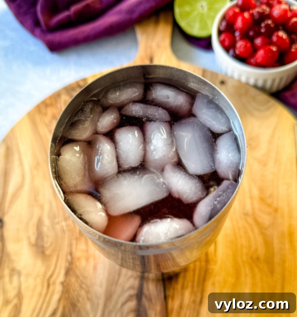 cranberry margarita in a cocktail shaker