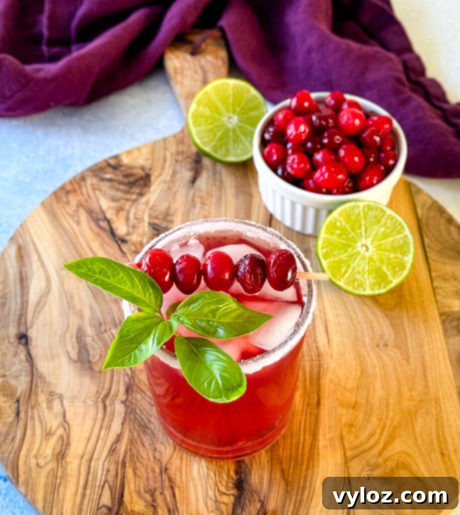 cranberry margarita with fresh cranberries and herbs in a glass
