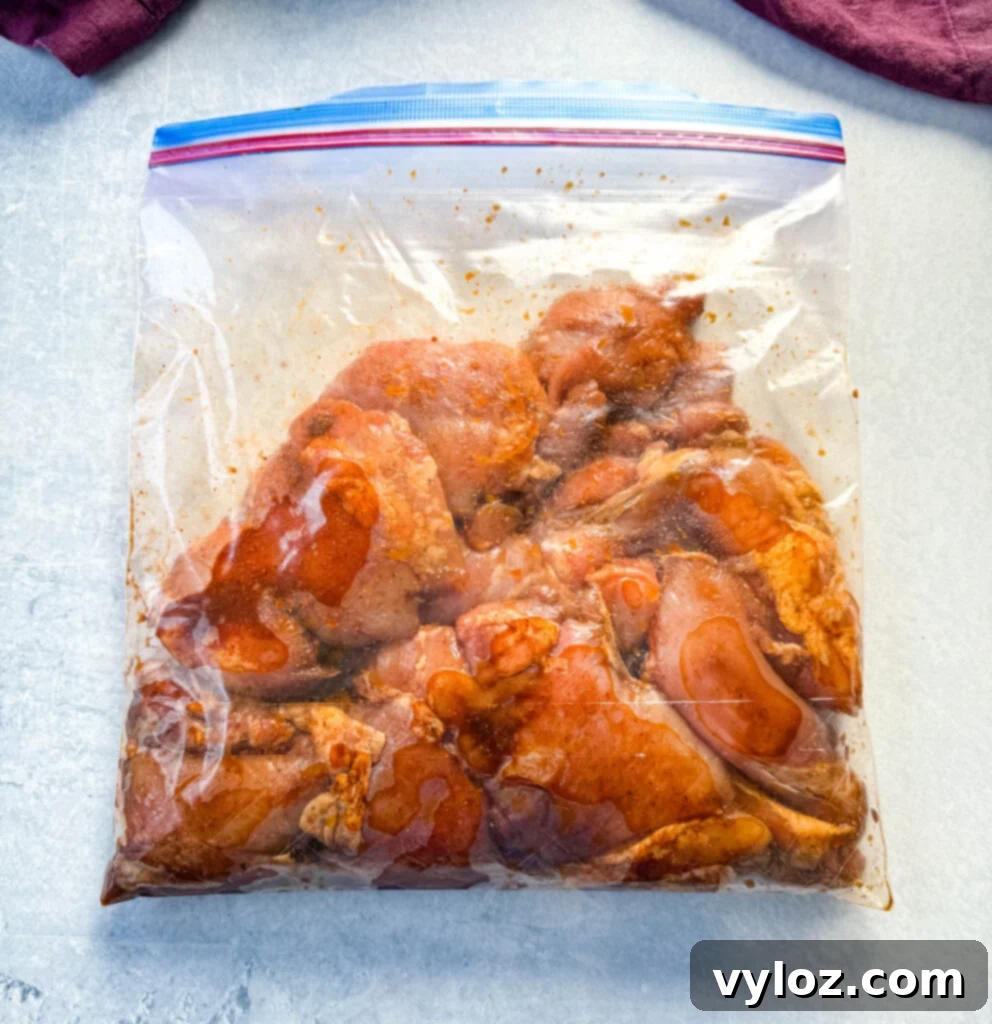 Smoky Traeger Pulled Chicken 5 raw seasoned and marinated chicken thighs in a Ziploc bag