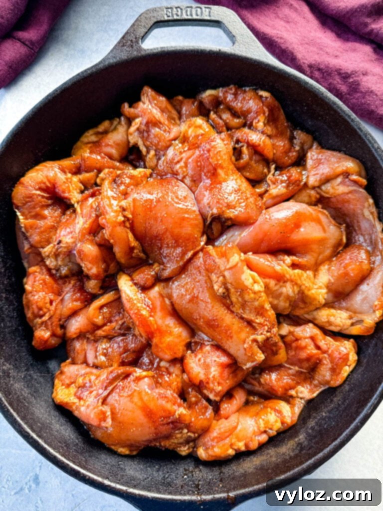 Smoky Traeger Pulled Chicken 6 raw seasoned and marinated chicken thighs in a cast iron skillet