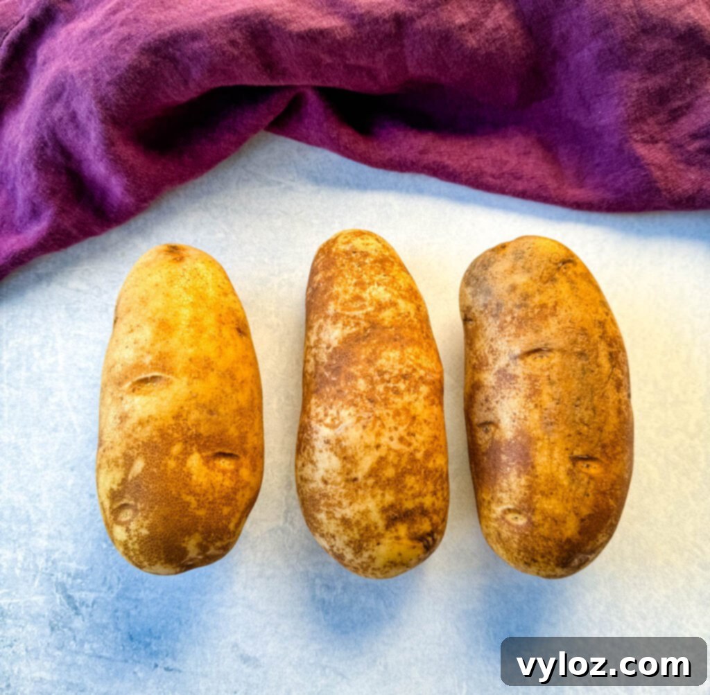 Cajun Seasoned Fries 3 fresh russet potatoes on a flat surface