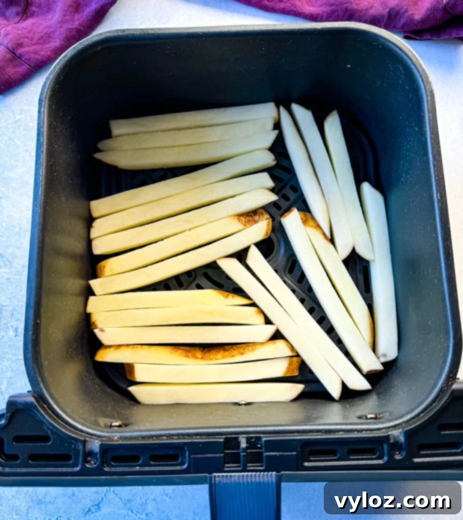 Cajun Seasoned Fries 9 sliced potatoes in an air fryer