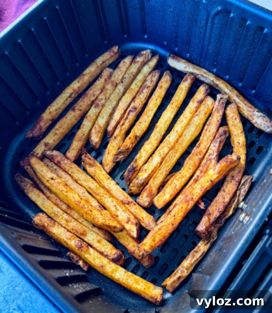 Cajun Seasoned Fries 10 Cajun fries in an air fryer