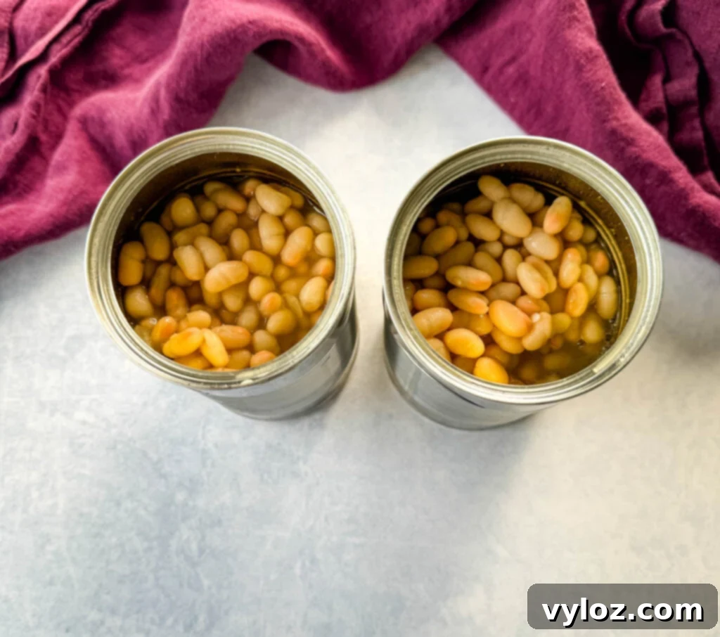 canned kidney beans