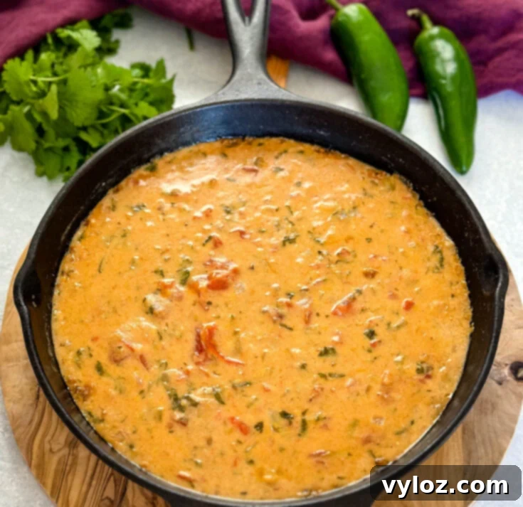 Creamy Smoked Queso Dip with cheddar, pepper jack cheese, and cilantro