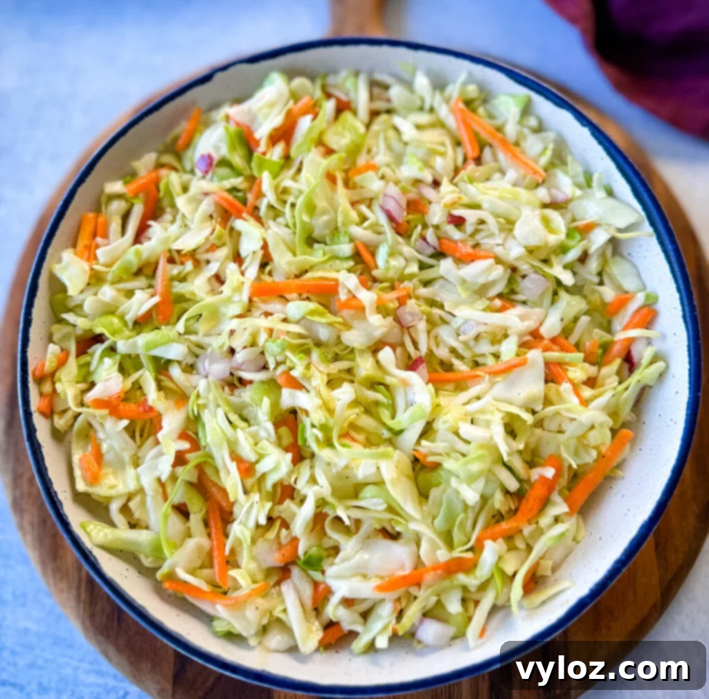 Vinegar coleslaw made without mayo in a pristine white bowl, showcasing its fresh, vibrant colors