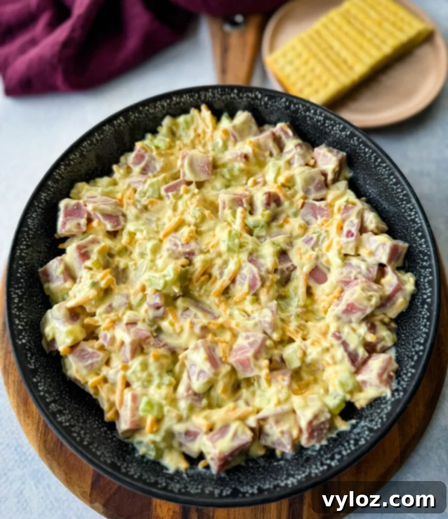 Classic Creamy Ham Salad 8 ham salad with cheese in a black bowl with crackers