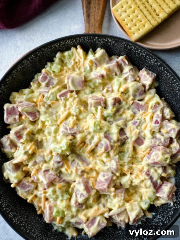 Classic Creamy Ham Salad 10 ham salad with cheese in a black bowl with crackers