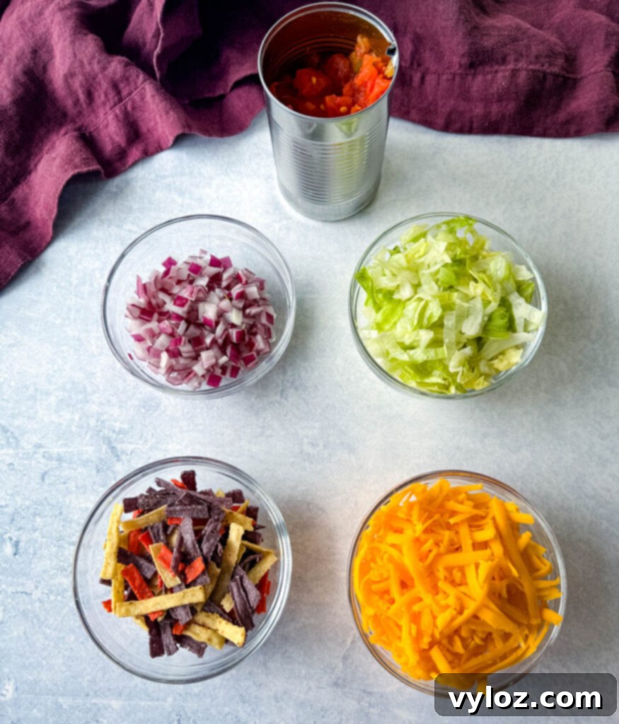 Diced onions, lettuce, tortilla strips, grated cheese, and canned diced tomatoes and chilies on a flat surface