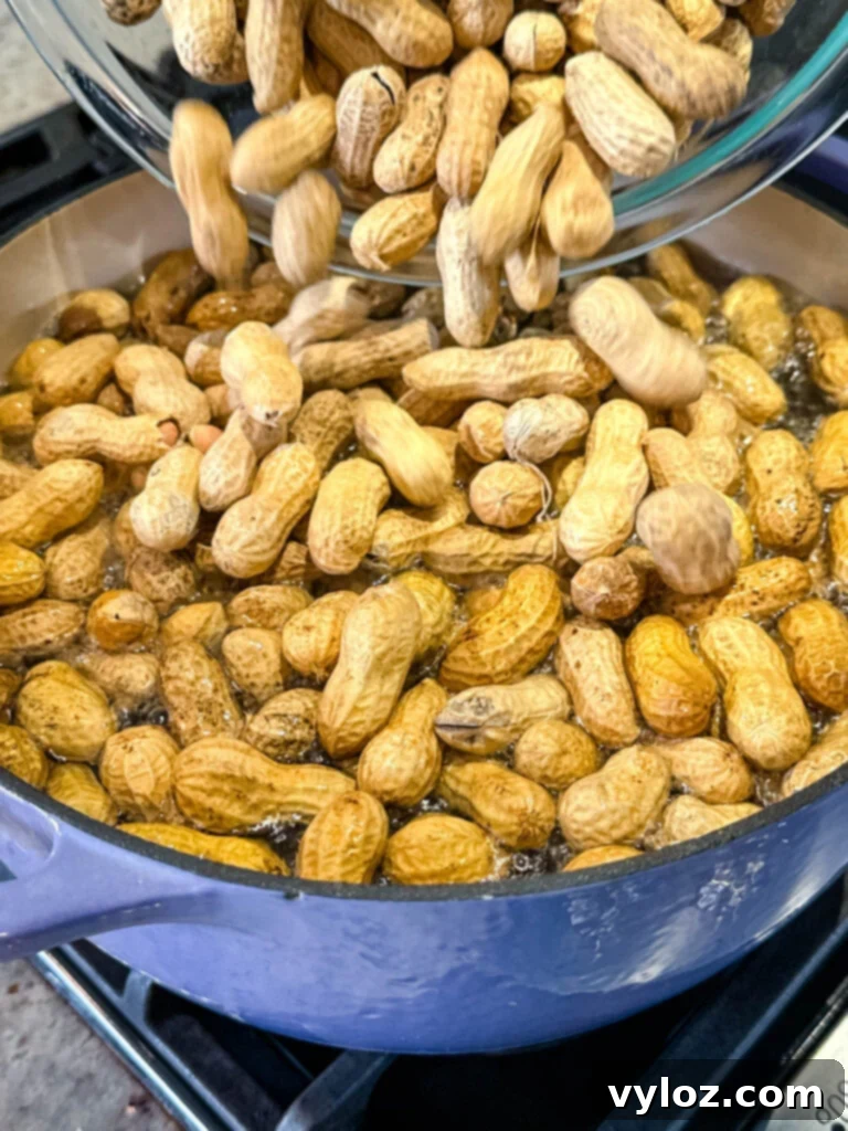 raw peanuts and water in a Dutch oven