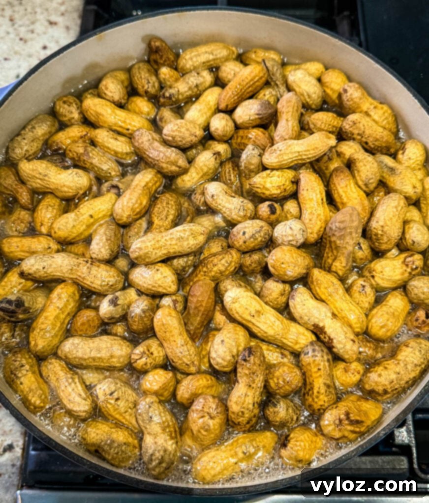 raw peanuts, spices, and water in a Dutch oven