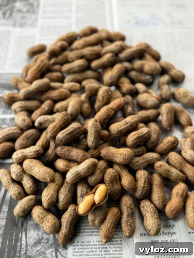 Cajun boiled peanuts on newspaper