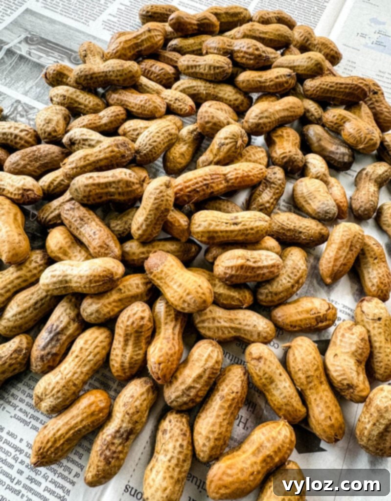 Cajun boiled peanuts on newspaper