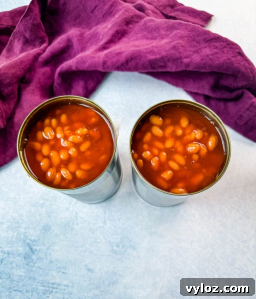 Smoky Slow Cooker Bacon Baked Beans 6 canned baked beans on a flat surface