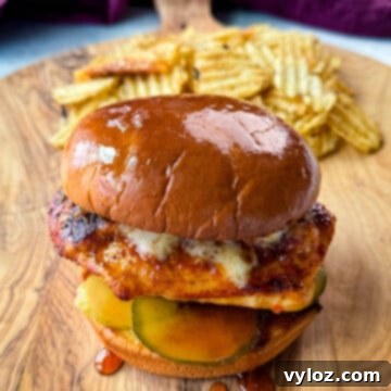 Hot honey chicken sandwich with a brioche bun, pickles, and pepperjack cheese on a plate with chips