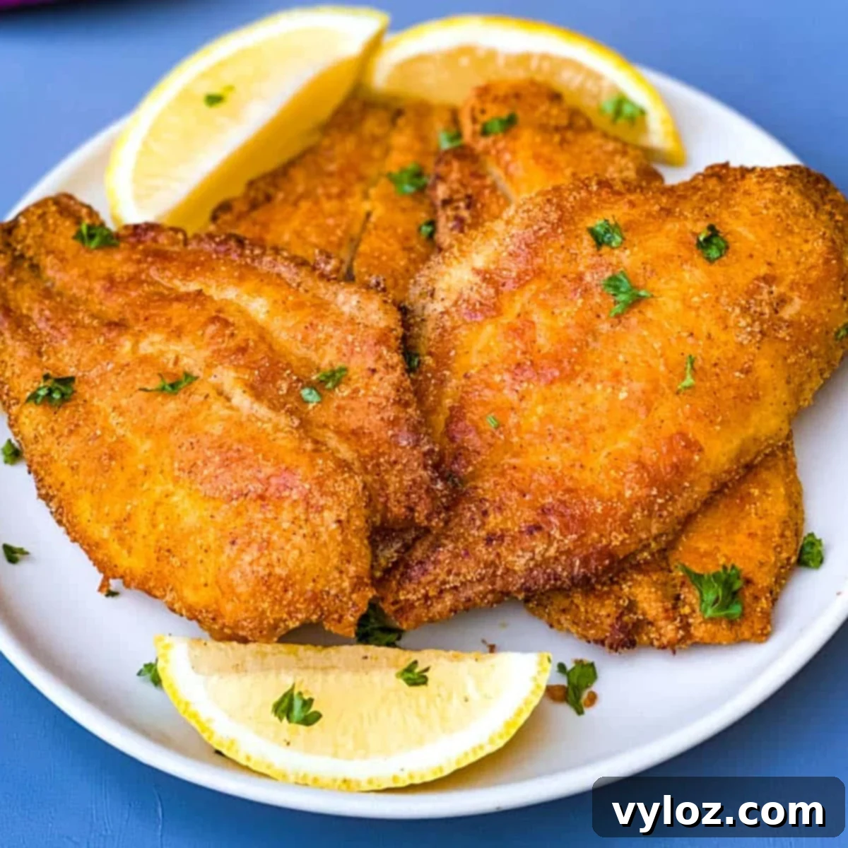 air fryer 3 ingredient fried catfish on a white plate