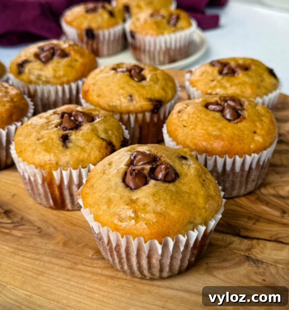 Delicious banana protein muffin with chocolate chips on a flat surface, ready to be enjoyed.