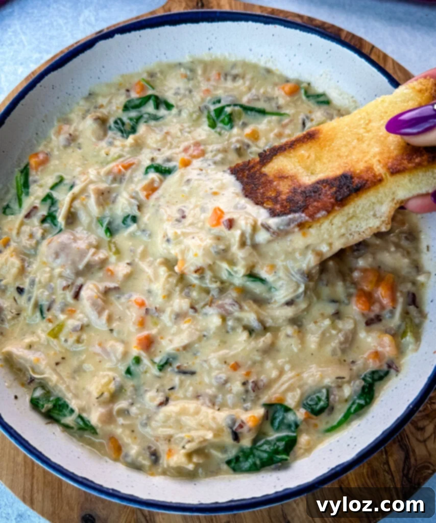 Velvety Chicken Wild Rice Soup 2 Creamy chicken wild rice soup in a white bowl with a slice of toasted bread